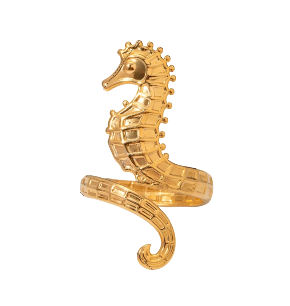 Caballito de Mar