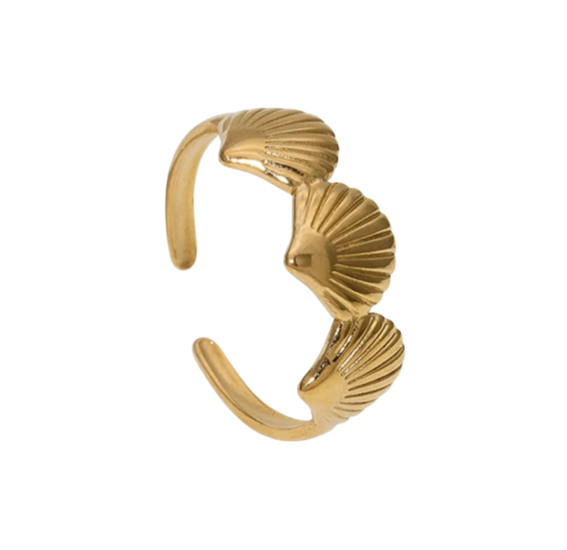 Beach Shell